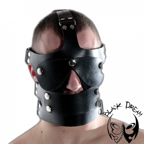 Face Harness Face Harness