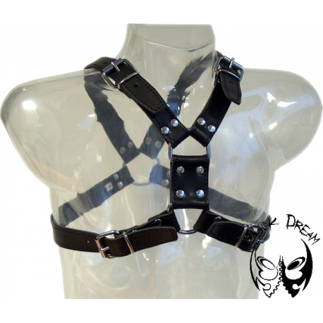 Y-front Harness Y-front Harness