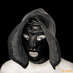 Double faced hood