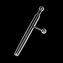 Prince's Wand