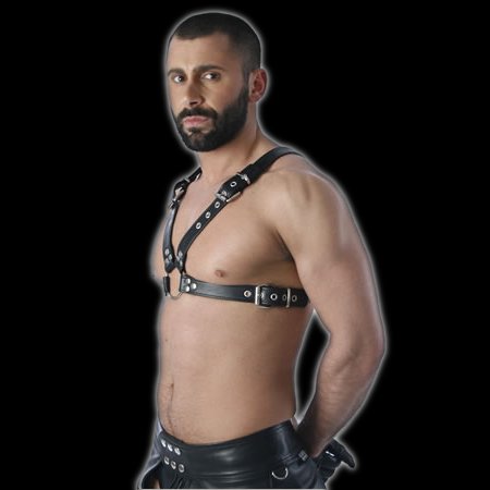 Leather Chest Harness