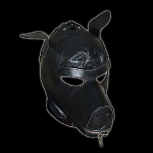 Leather dog hood