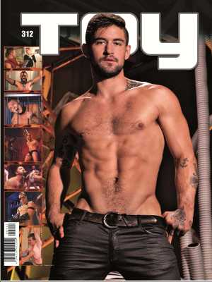 Toy magazin 312