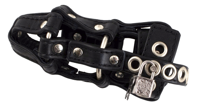 Leather cockcage with lock