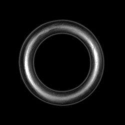 Thick Rubber Cockring