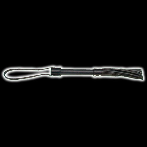 CBT-Whip