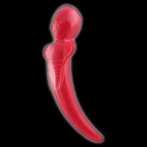 Sperm Tail Plug