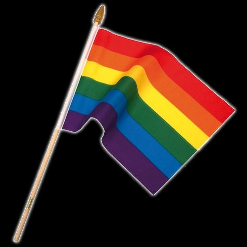 Rainbow flag on stick small