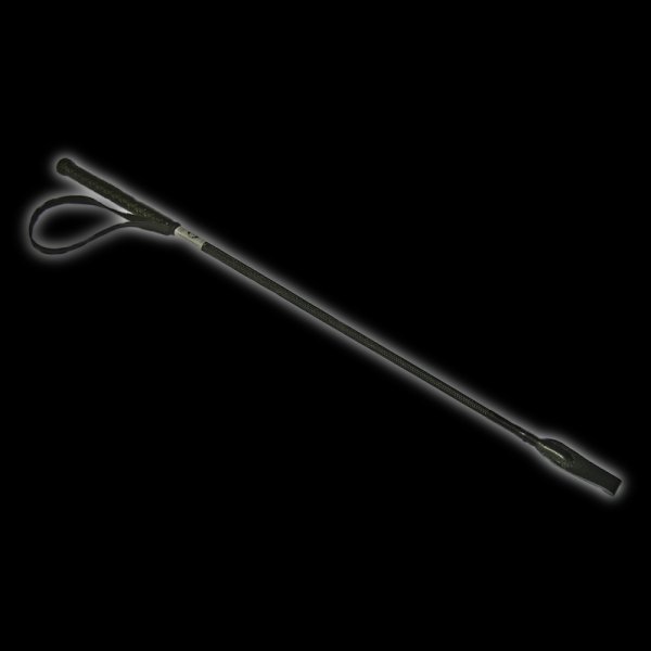 Simple horse stick with loop