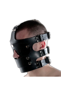 Dildo Gag Face Harness Dildo Gag Face Harness