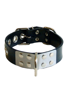 Rubber slavecollar Rubber slavecollar