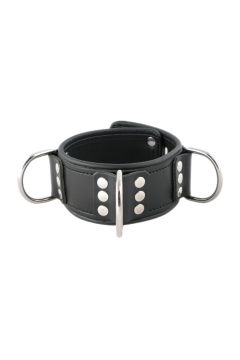 Broad Lockable Collar Broad Lockable Collar