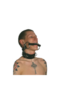 Snaffle with rubber gag Snaffle with rubber gag