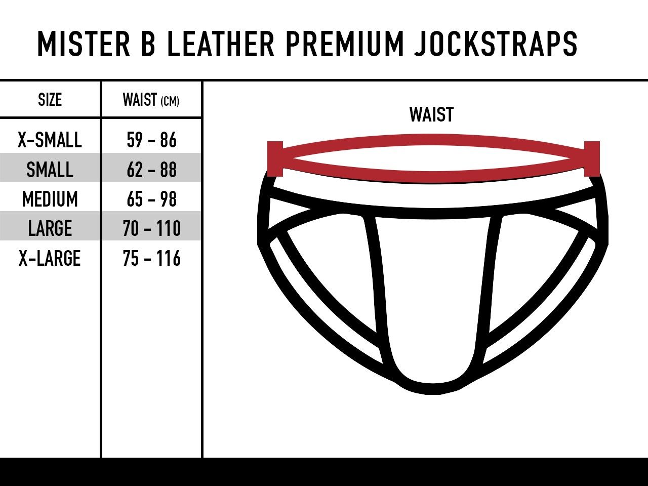 Mister B jockstrap size